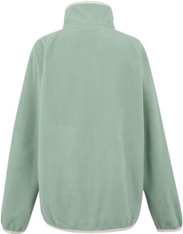 Regatta Dames/Dames Lilana Full Zip Fleecejack (Gletsjer/Licht Vanille) Salie Groen - EU 46 / UK 18