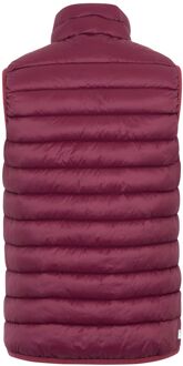 Regatta Dames/Dames Marizion Gilet (Donker Pimento) - maat Rood