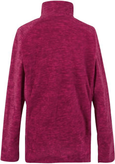 Regatta Dames/Dames Mayse Full Zip Fleecejack (Donkere Cerise) Roze