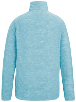 Regatta Dames/Dames Mayse Full Zip Fleecejack (Skyway) - maat EU 44 / UK 16 Hemelsblauw