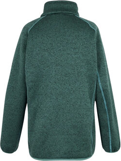 Regatta Dames/Dames Mellrey Full Zip Fleece (Sparrengroen) Donkergroen