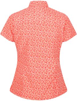 Regatta Dames/dames Mindano VI Ditsy Print Shirt (Fusion Koraal)
