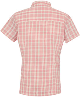 Regatta Dames/Dames Mindano VIII geruit overhemd met korte mouwen (Perzikbloesem) - maat
