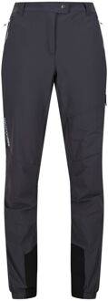 Regatta Dames/Dames Mountain III Wandelbroek (Afdichting Grijs) - EU 46 / UK 18