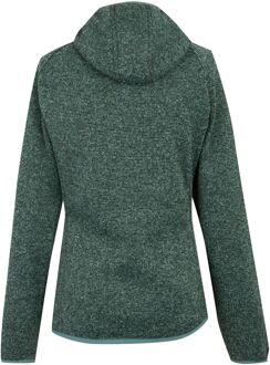 Regatta Dames/Dames Newhill Fleecejas met capuchon (Groene waas) Salie Groen