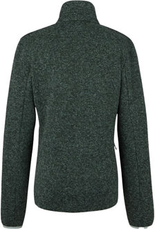 Regatta Dames/Dames Newhill Full Zip Fleecejack (Groene waas) - maat Salie Groen