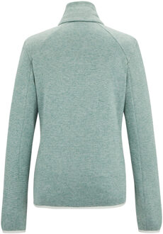 Regatta Dames/Dames Newhill Full Zip Fleecejack (Ivy Mos) Groen - EU 46 / UK 18