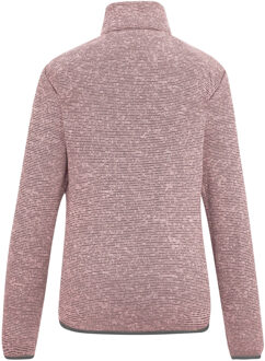 Regatta Dames/Dames Newhill Full Zip Fleecejack (Roze waas) Lichtroze - EU 38 / UK 10