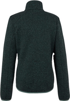 Regatta Dames/Dames Newhill Full Zip Fleecejack (Sparrengroen) Donkergroen - EU 38 / UK 10