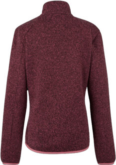 Regatta Dames/Dames Newhill Full Zip Fleecejack (Stoffige roos) Rosé