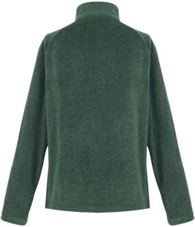 Regatta Dames/dames Pimlo Half Zip Fleece (Regenwoud) Groen
