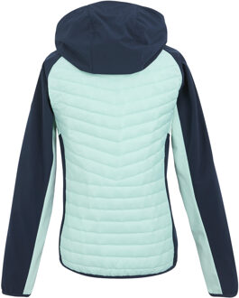 Regatta Dames/Dames Pro Hybrid II gewatteerd jack (Marine/Icy Morn) Navy/blauw