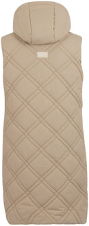 Regatta Dames/Dames Rurietta Lang Gilet (Taupe Beige) - EU 46 / UK 18