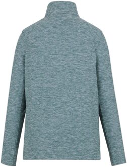 Regatta Dames/Dames Sweetheart Quarter Zip Fleece Top (Sparrengroen) Donkergroen - EU 48 / UK 20