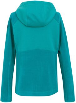 Regatta Dames/Dames Vatana Full Zip Fleecejack (Ivy Mos) - maat EU 40 / UK 12 Groen