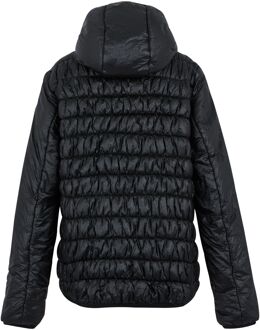 Regatta Dames/Dames Wiltom gewatteerd jack (Zwart) - EU 40 / UK 12