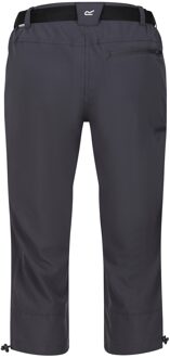 Regatta Dames/Dames Xert Stretch Vrijetijdsshort (Afdichting Grijs) - EU 50 / UK 22