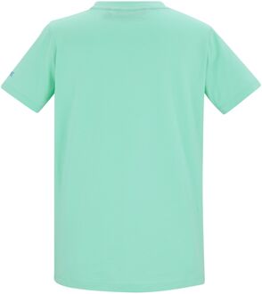 Regatta Dames Filandra VX Sunset Paddleboard T-shirt (IJs Groen) - EU 40 / UK 12