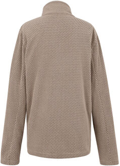 Regatta Dames Heidy Volledige Rits Fleece (Zacht Taupe)
