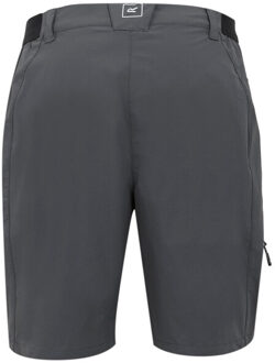Regatta Dames lichte insectenwerende reisshort Grijs - 46