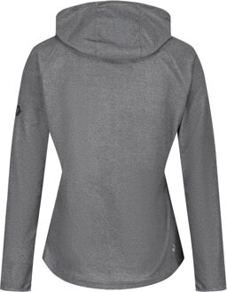 Regatta Dames Montes Pullover Hooded Hoody Grijs