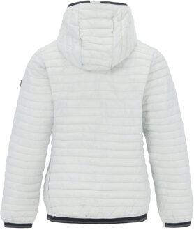 Regatta Dames Rigain Gevoerde Jas (Grijs Dageraad) Lichtgrijs - EU 38 / UK 10