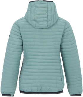 Regatta Dames Rigain Gewatteerde Jas (Ivy Moss) Groen - EU 48 / UK 20