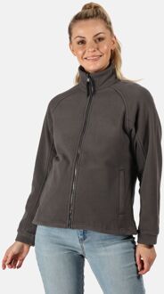Regatta Dames Thor III Fleece Vest (Grijs)
