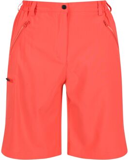 Regatta Dames xert stretch shorts Oranje - 46