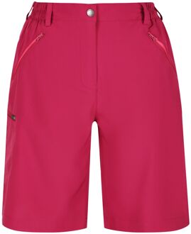 Regatta Dames xert stretch shorts Paars - 44