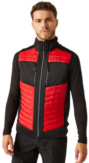 Regatta E-volve thermische hybride bodywarmer voor volwassenen Rood - XXL / XXXL