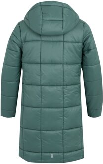 Regatta Embrie Gewatteerde Jas voor Kinderen/Kinderen (Sparrengroen) Donkergroen - 3-4J / 98-104cm