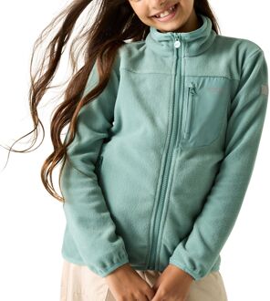 Regatta Frankie Full-Zip Fleece Vest Junior - 152