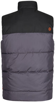 Regatta Geïsoleerde bodywarmer voor heren Grijs - S