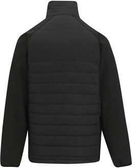 Regatta Gewatteerde heren jas met volledige rits (Zwart/Klassiek Rood) - 3XL