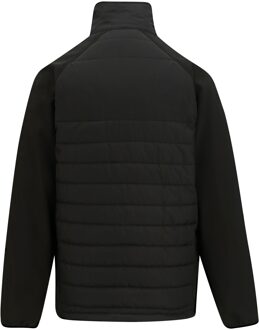 Regatta Gewatteerde heren jas met volledige rits (Zwart/Oranje Pop) - 4XL