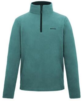 Regatta Geweldig voor Buiten Heren Thompson Half Zip Fleece Sweater (Arctic) - maat 2XL Blauw