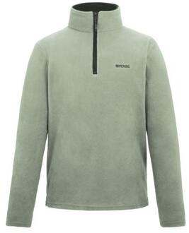 Regatta Geweldig voor Buiten Heren Thompson Half Zip Fleece Sweater (Lichte Salie) - maat L Salie Groen