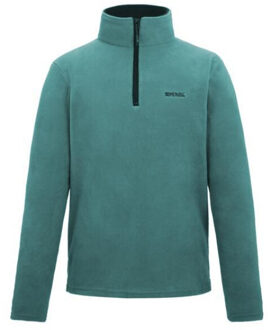Regatta Geweldig voor buiten heren thompson half zip fleece sweater - maat 5XL Bruin/groen
