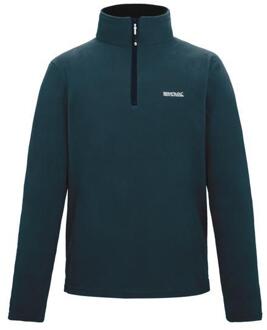 Regatta Geweldig voor Buiten Heren Thompson Half Zip Fleece Sweater (Nachtelijke hemel) - maat 5XL Hemelsblauw