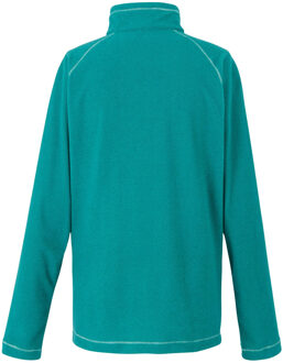 Regatta Geweldige outdoor dames montes half zip fleece top Blauw