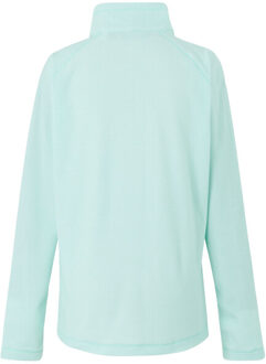 Regatta Geweldige outdoor dames montes half zip fleece top Groen - 46