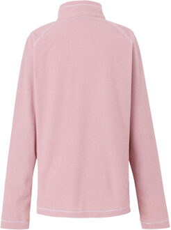 Regatta Geweldige Outdoor Dames Montes Half Zip Fleece Top (Lila's/Poederlila) Lichtroze - EU 46 / UK 18