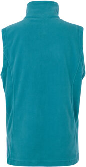 Regatta Geweldige Outdoors Dames Outdoor Klassieke Sweatness II Bodywarmer (Storm Blauw)