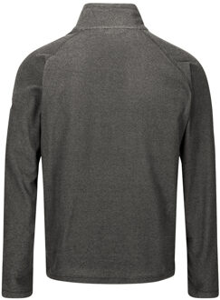 Regatta Geweldige Outdoors Heren Montes Fleece Sweater (Grijs) - maat