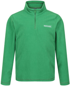 Regatta Geweldige outdoors kinder hot shot ii half zip fleece hoodie Groen - 104
