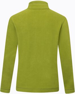 Regatta Geweldige Outdoors Kinder Hot Shot II Half Zip Fleece Hoodie (Lichte Salie) Salie Groen - 13J / 158cm