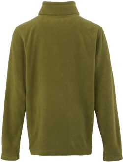 Regatta Geweldige Outdoors Kinder Hot Shot II Half Zip Fleece Hoodie (Nefrietgroen) Donkergroen