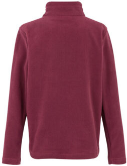 Regatta Geweldige outdoors kinder hot shot ii half zip fleece hoodie Rood - 104