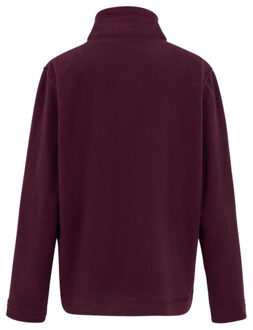 Regatta Groot buitenshuis kinderen/kinderen king ii lichtgewicht full zip fleece jasje Paars - 104